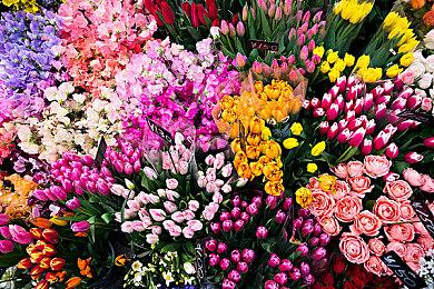 云顶之弈S8.5决斗大师阵容搭配，S8.5决斗大师阵容装备站位攻略